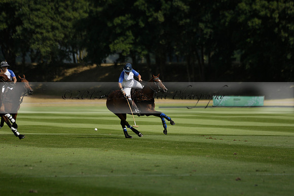 Cowdray Vikings v Los Hamblinos in the Bloom British Ladies Open Championship polo match 2013.07.20