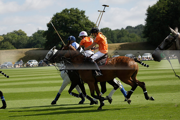 Cowdray Vikings v Los Hamblinos in the Bloom British Ladies Open Championship polo match 2013.07.20