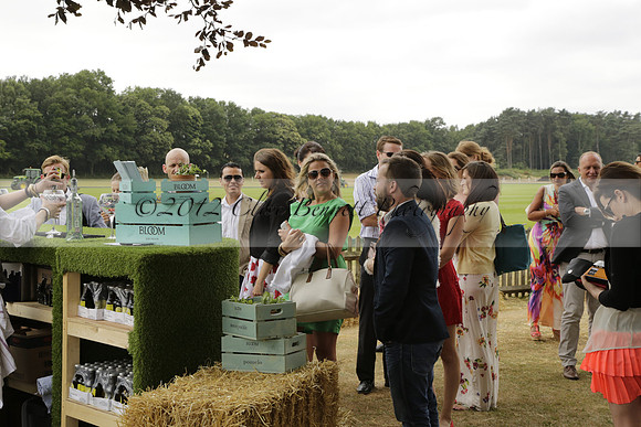 Cowdray Vikings v Los Hamblinos in the Bloom British Ladies Open Championship polo match 2013.07.20