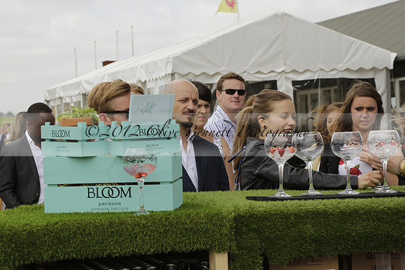 Cowdray Vikings v Los Hamblinos in the Bloom British Ladies Open Championship polo match 2013.07.20