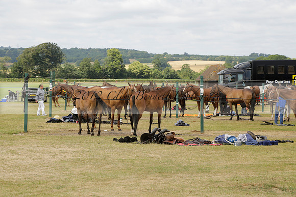 Cowdray Vikings v Los Hamblinos in the Bloom British Ladies Open Championship polo match 2013.07.20
