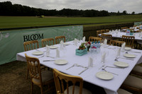 Cowdray Vikings v Los Hamblinos in the Bloom British Ladies Open Championship polo match 2013.07.20