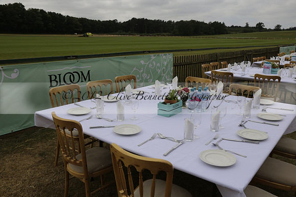 Cowdray Vikings v Los Hamblinos in the Bloom British Ladies Open Championship polo match 2013.07.20