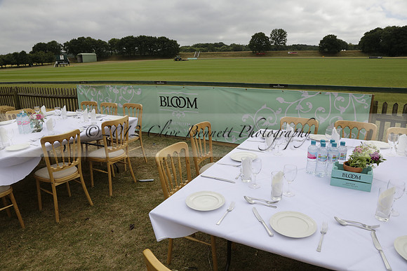 Cowdray Vikings v Los Hamblinos in the Bloom British Ladies Open Championship polo match 2013.07.20