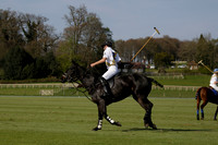 Witley Park Farm v Coombe Place in a Jersey Lilies Polo match 2013.05.02