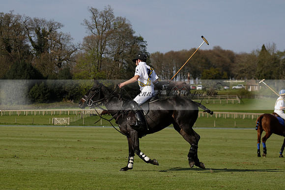 Witley Park Farm v Coombe Place in a Jersey Lilies Polo match 2013.05.02
