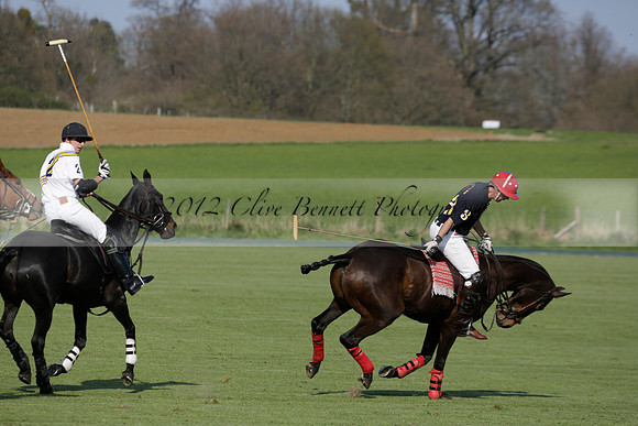 Witley Park Farm v Coombe Place in a Jersey Lilies Polo match 2013.05.02