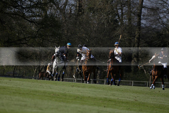 Witley Park Farm v Coombe Place in a Jersey Lilies Polo match 2013.05.02