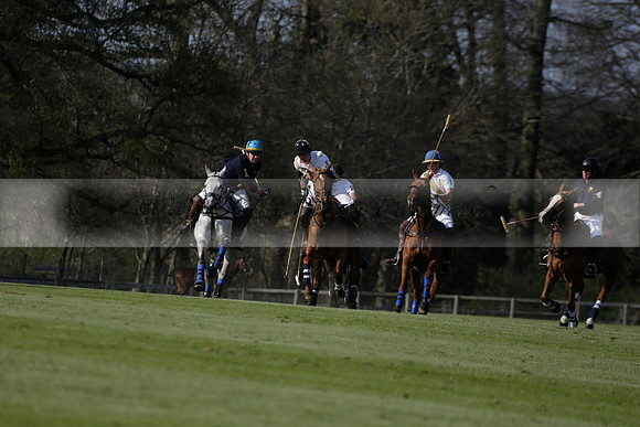 Witley Park Farm v Coombe Place in a Jersey Lilies Polo match 2013.05.02