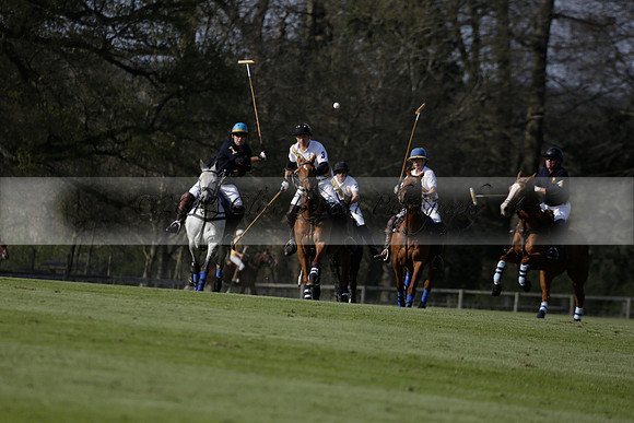 Witley Park Farm v Coombe Place in a Jersey Lilies Polo match 2013.05.02