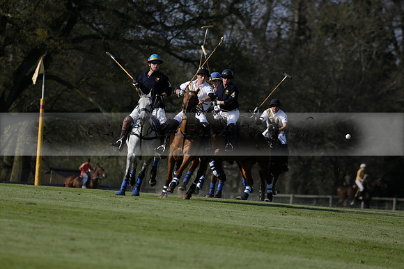 Witley Park Farm v Coombe Place in a Jersey Lilies Polo match 2013.05.02