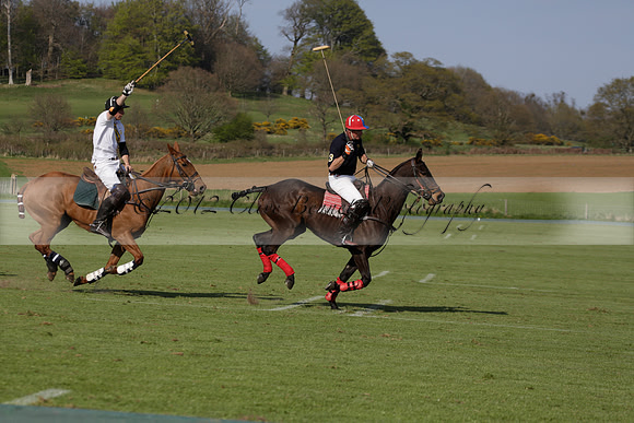 Witley Park Farm v Coombe Place in a Jersey Lilies Polo match 2013.05.02
