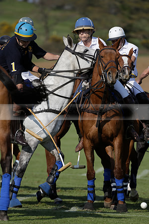 Witley Park Farm v Coombe Place in a Jersey Lilies Polo match 2013.05.02