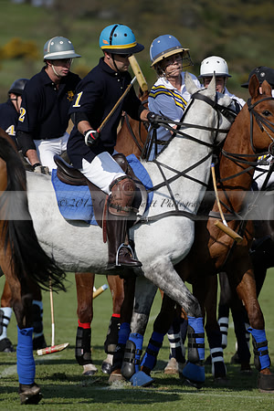 Witley Park Farm v Coombe Place in a Jersey Lilies Polo match 2013.05.02