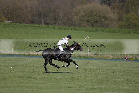 Witley Park Farm v Coombe Place in a Jersey Lilies Polo match 2013.05.02