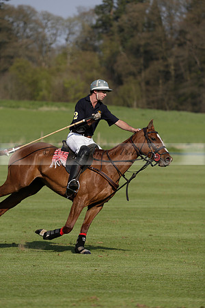 Witley Park Farm v Coombe Place in a Jersey Lilies Polo match 2013.05.02