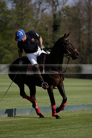 Witley Park Farm v Coombe Place in a Jersey Lilies Polo match 2013.05.02