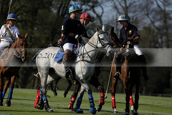 Witley Park Farm v Coombe Place in a Jersey Lilies Polo match 2013.05.02