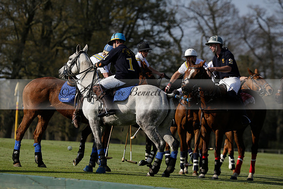 Witley Park Farm v Coombe Place in a Jersey Lilies Polo match 2013.05.02