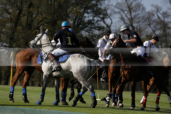 Witley Park Farm v Coombe Place in a Jersey Lilies Polo match 2013.05.02