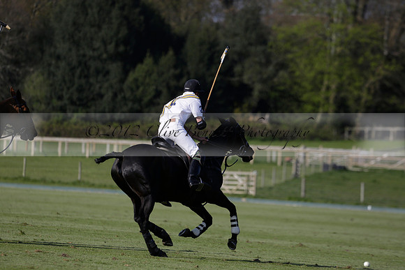 Witley Park Farm v Coombe Place in a Jersey Lilies Polo match 2013.05.02