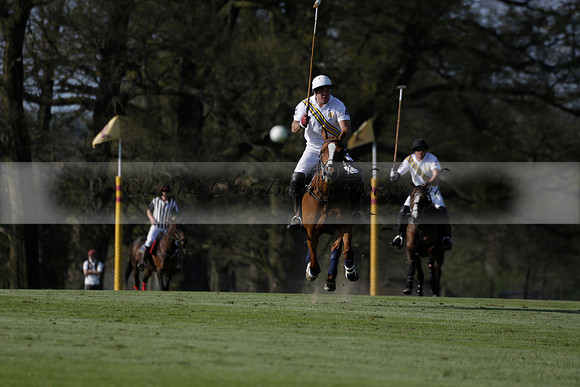 Witley Park Farm v Coombe Place in a Jersey Lilies Polo match 2013.05.02