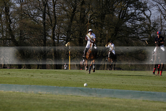 Witley Park Farm v Coombe Place in a Jersey Lilies Polo match 2013.05.02