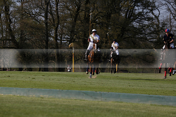 Witley Park Farm v Coombe Place in a Jersey Lilies Polo match 2013.05.02
