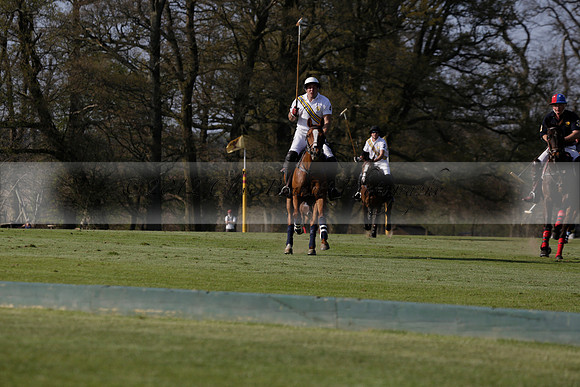 Witley Park Farm v Coombe Place in a Jersey Lilies Polo match 2013.05.02