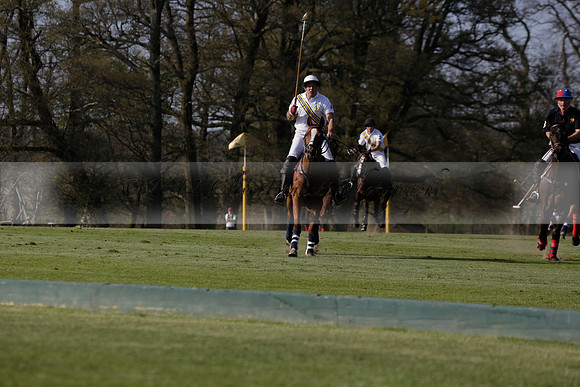Witley Park Farm v Coombe Place in a Jersey Lilies Polo match 2013.05.02