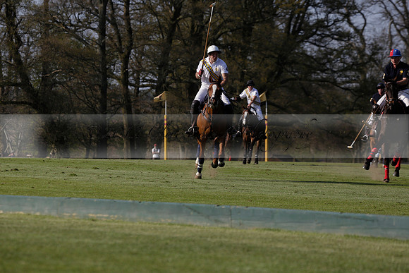 Witley Park Farm v Coombe Place in a Jersey Lilies Polo match 2013.05.02