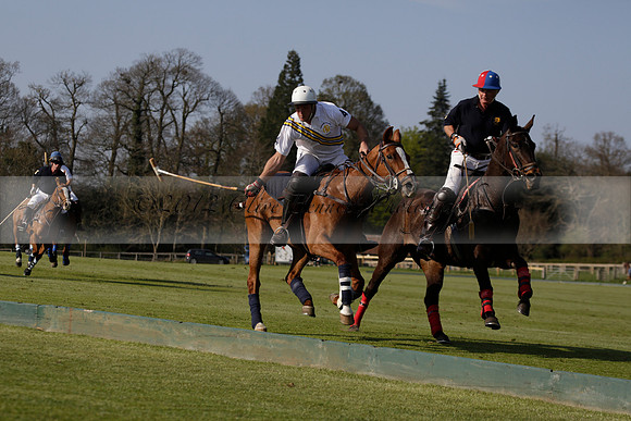 Witley Park Farm v Coombe Place in a Jersey Lilies Polo match 2013.05.02