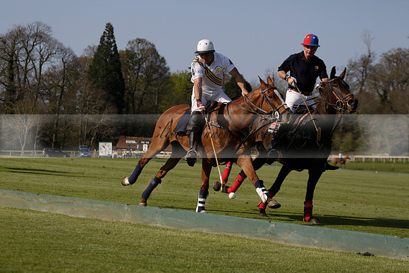 Witley Park Farm v Coombe Place in a Jersey Lilies Polo match 2013.05.02
