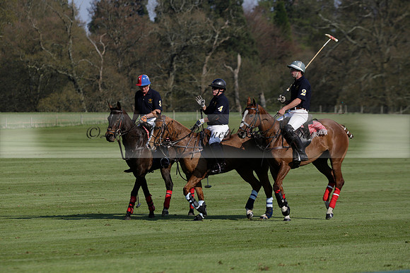 Witley Park Farm v Coombe Place in a Jersey Lilies Polo match 2013.05.02