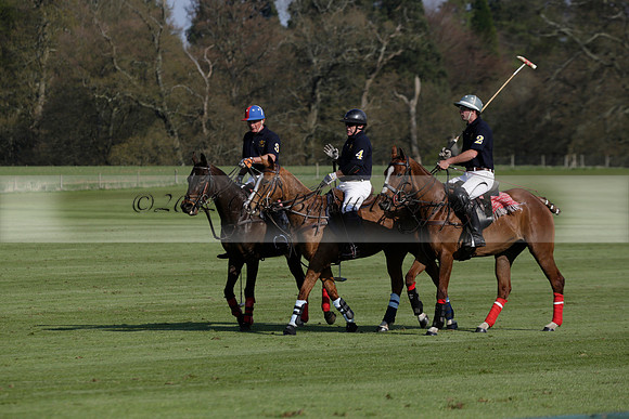 Witley Park Farm v Coombe Place in a Jersey Lilies Polo match 2013.05.02
