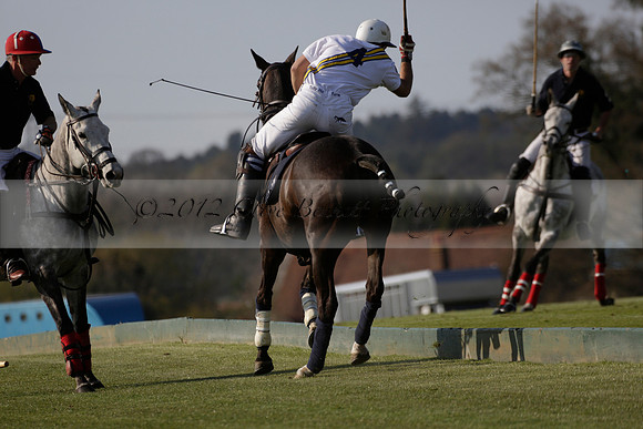 Witley Park Farm v Coombe Place in a Jersey Lilies Polo match 2013.05.02