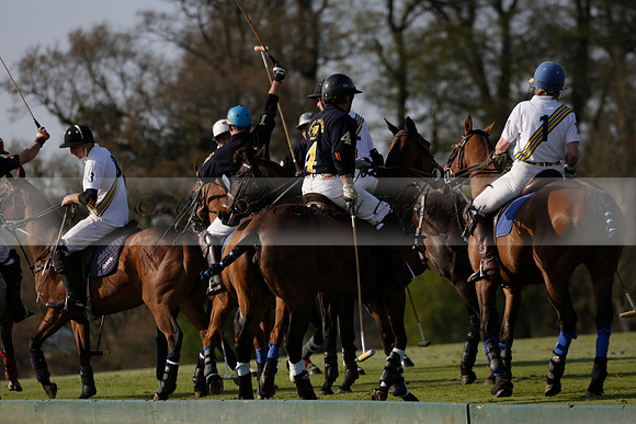 Witley Park Farm v Coombe Place in a Jersey Lilies Polo match 2013.05.02