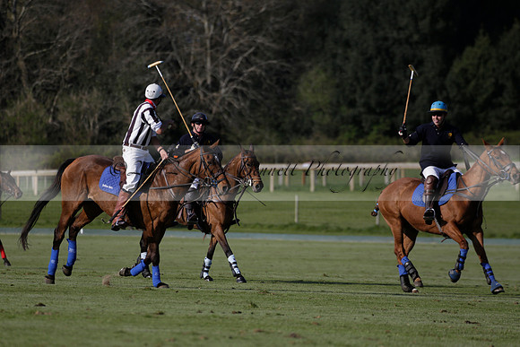 Witley Park Farm v Coombe Place in a Jersey Lilies Polo match 2013.05.02