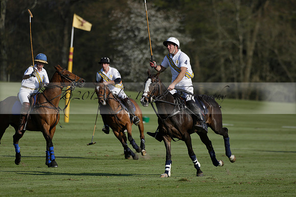 Witley Park Farm v Coombe Place in a Jersey Lilies Polo match 2013.05.02
