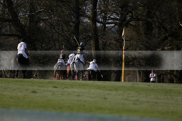 Witley Park Farm v Coombe Place in a Jersey Lilies Polo match 2013.05.02