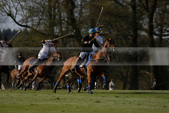 Witley Park Farm v Coombe Place in a Jersey Lilies Polo match 2013.05.02