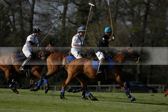 Witley Park Farm v Coombe Place in a Jersey Lilies Polo match 2013.05.02