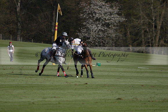 Witley Park Farm v Coombe Place in a Jersey Lilies Polo match 2013.05.02