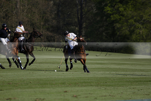 Witley Park Farm v Coombe Place in a Jersey Lilies Polo match 2013.05.02