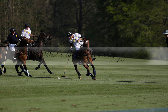Witley Park Farm v Coombe Place in a Jersey Lilies Polo match 2013.05.02