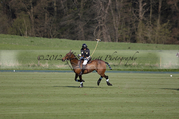 Witley Park Farm v Coombe Place in a Jersey Lilies Polo match 2013.05.02