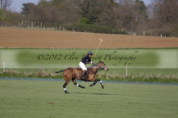 Witley Park Farm v Coombe Place in a Jersey Lilies Polo match 2013.05.02