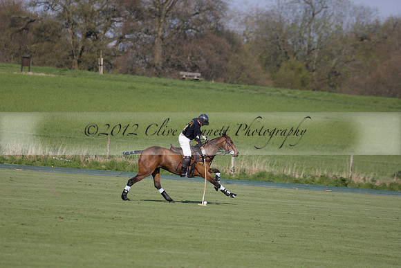 Witley Park Farm v Coombe Place in a Jersey Lilies Polo match 2013.05.02