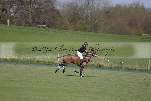 Witley Park Farm v Coombe Place in a Jersey Lilies Polo match 2013.05.02
