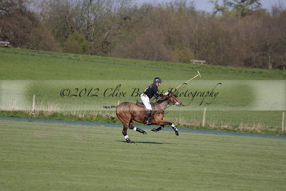 Witley Park Farm v Coombe Place in a Jersey Lilies Polo match 2013.05.02